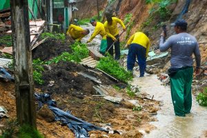 IMG-20250205-WA0031