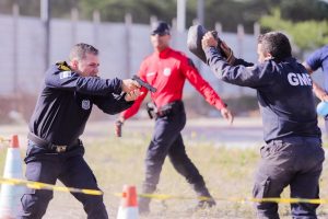 Foto: Vanessa Alcântara/Prefeitura do Recife