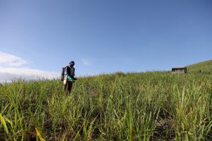 Foto: Ed Machado/Governo de Pernambuco