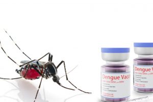 vacina-contra-dengue-1717431666